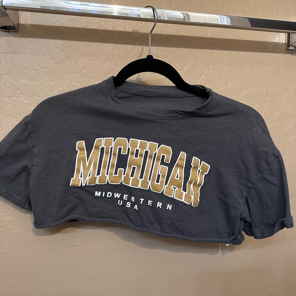 Crop Top! - Picture 1 of 3